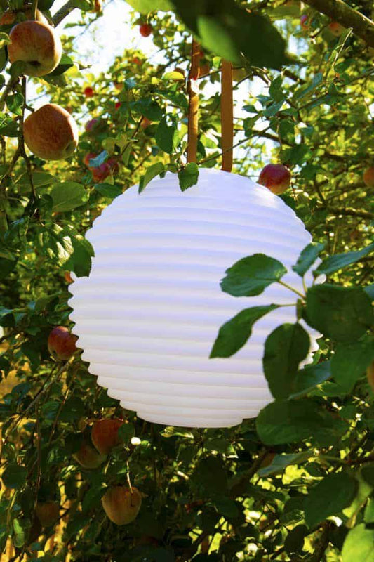 74ab4d4de5ca2bc7ae9f6a2c9d635ce3