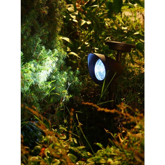 584cd8d90eba372e9f6c35d559832f81