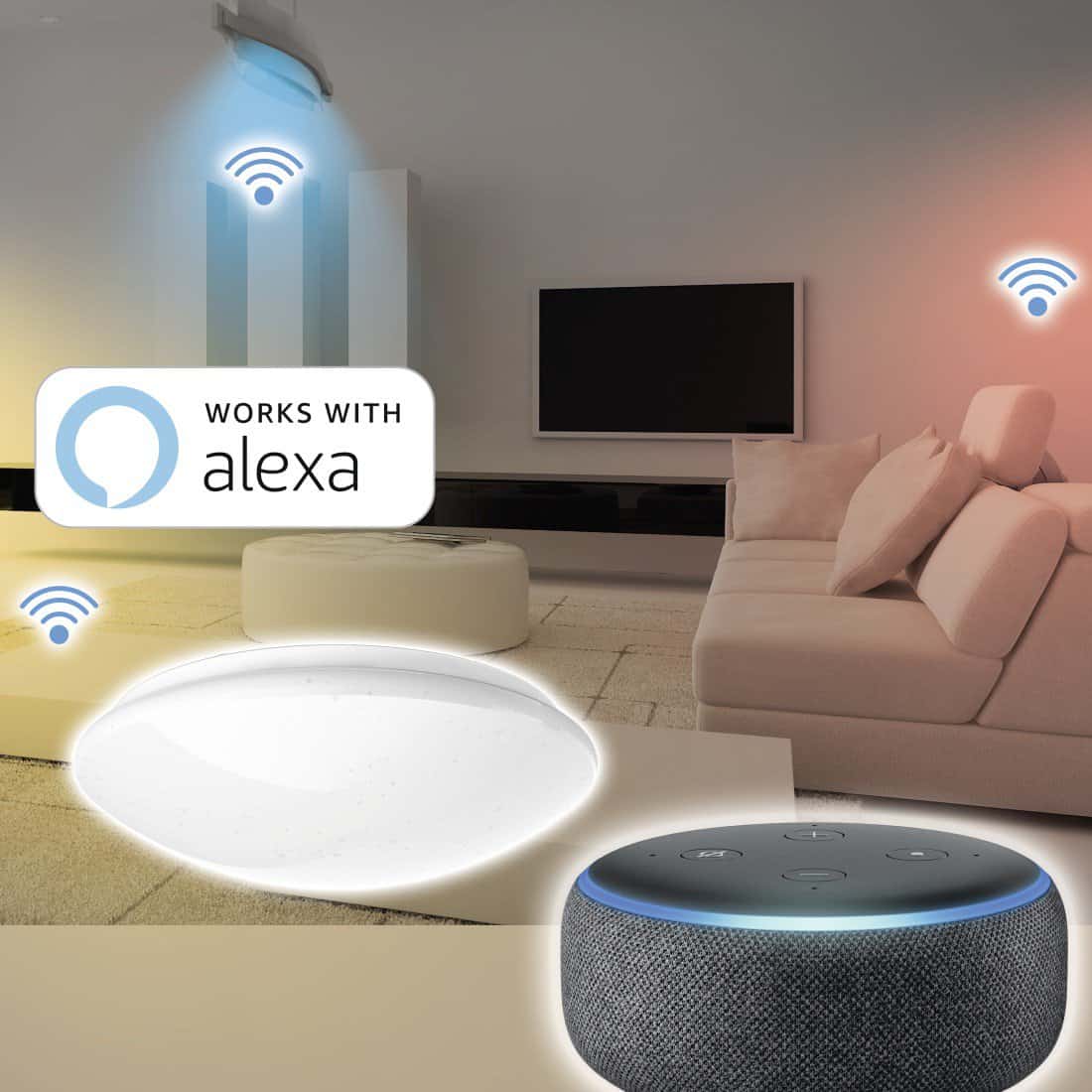 c115b2babb4d1ed1e14d5b28bdaf2a21