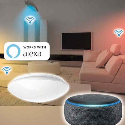 c115b2babb4d1ed1e14d5b28bdaf2a21