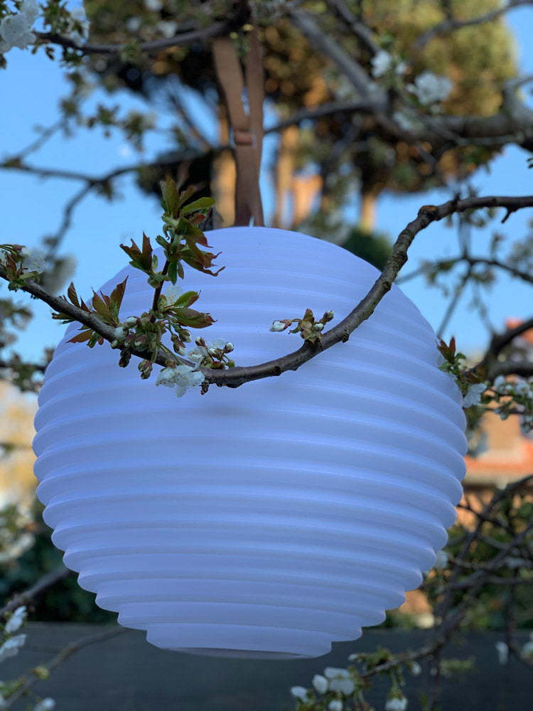 e04ff0350876a5b142e93ec600558be8