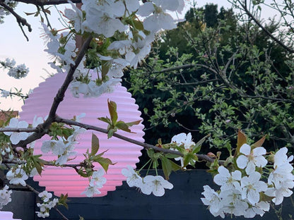 cf624fbc84e22b761859cd43226aac6a