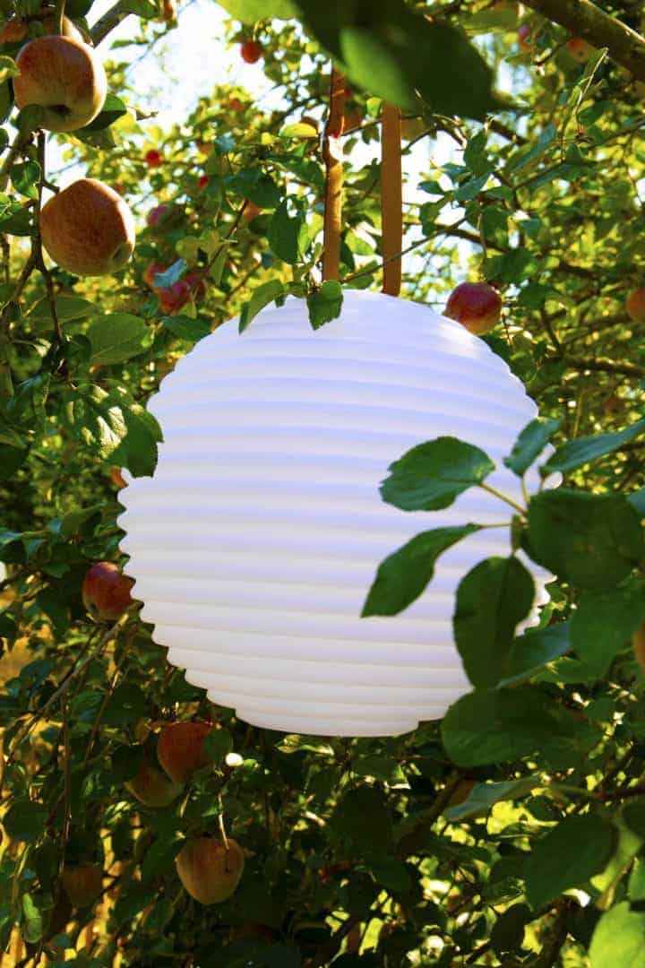 74ab4d4de5ca2bc7ae9f6a2c9d635ce3