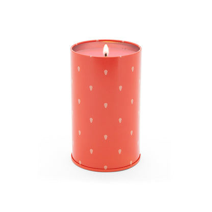 fa6b6e43b088a601bad72595ae7f812a
