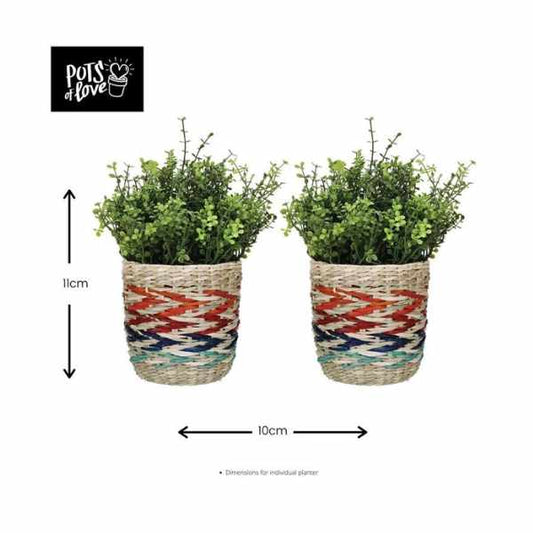 KitchenCraft Set of 2 Seagrass Planters - Rainbow