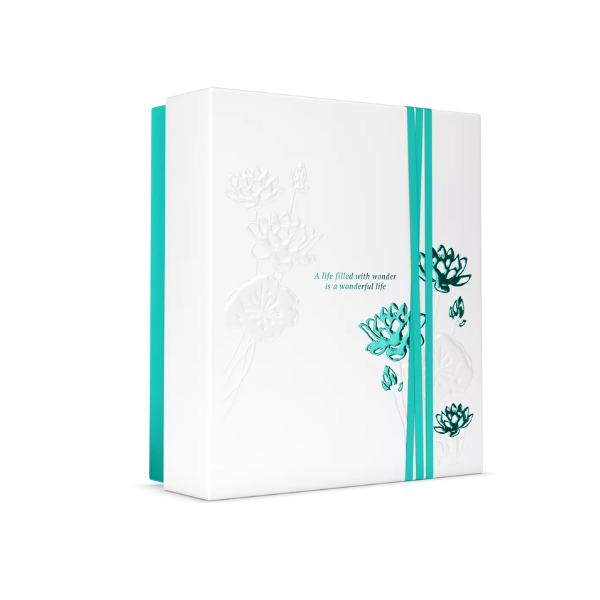 a3f7f2b77fd5b2427e26c8f9ccf49946