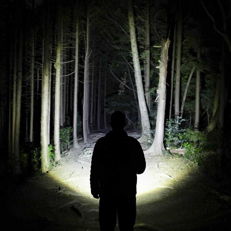 2bca506db65c8b9a8cf607ba3c37aa88