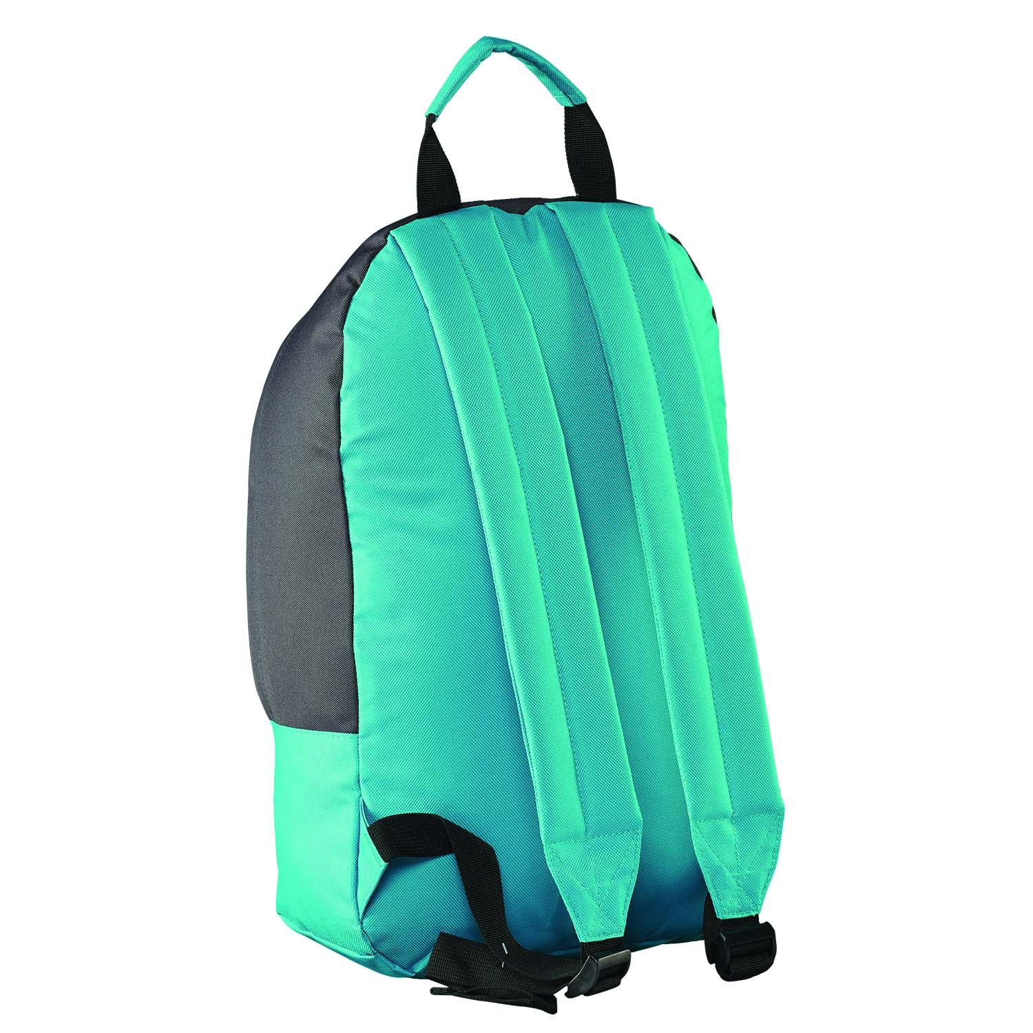 9b1d9dd6f01dea197482cae90e69fde4