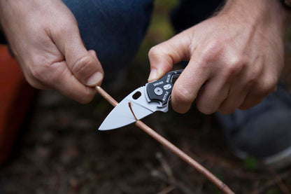 8f0da88df2a4282268027ec714edf9df