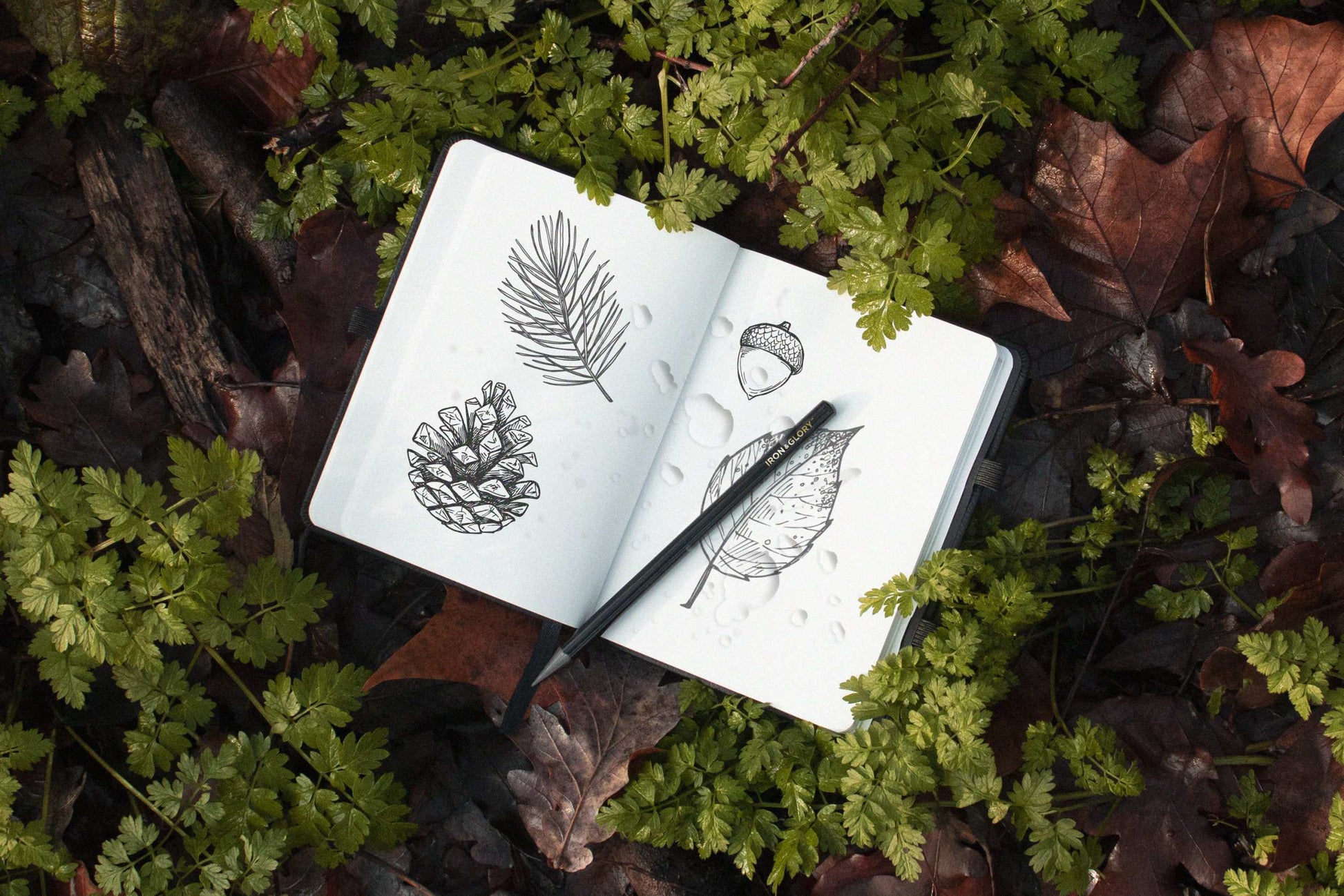 68f9da03c0e06f445c5fe902a59dec1c