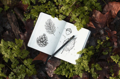 68f9da03c0e06f445c5fe902a59dec1c