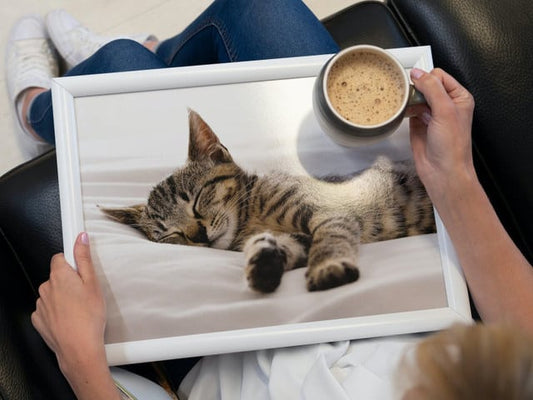 267295faa1c076289e32bcc089958ed4