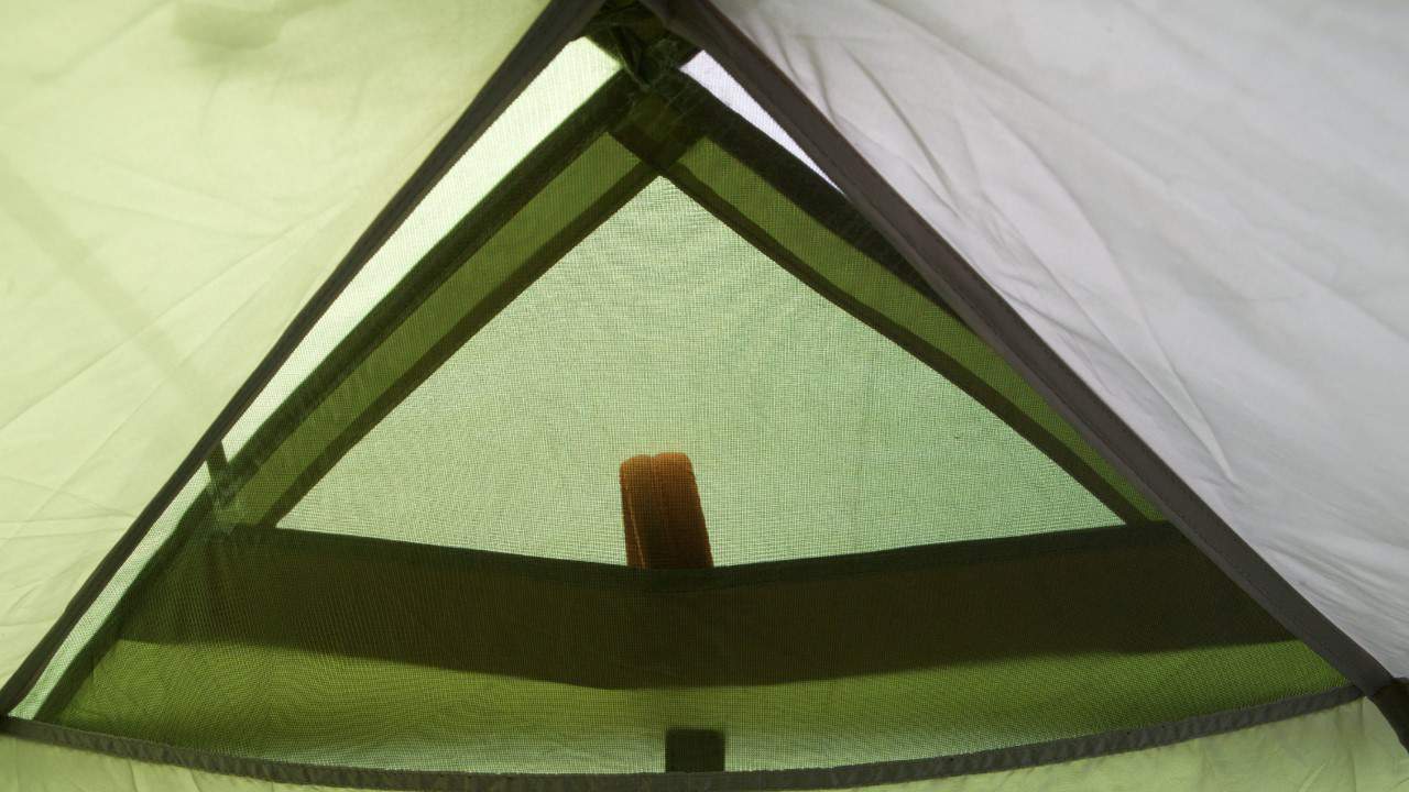 88785e88acbe001769b699e26ad34e06