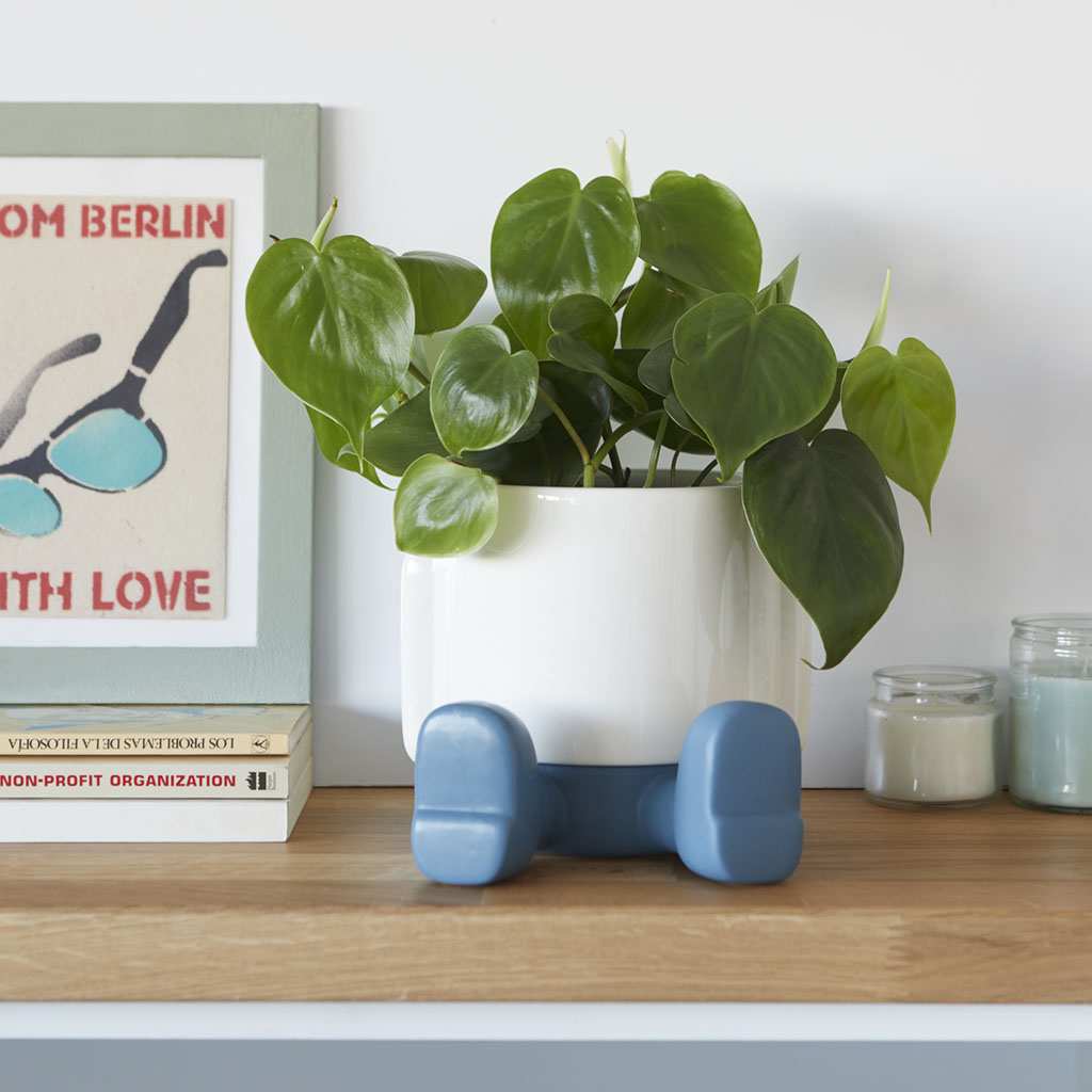 8c275ce382982292b85e1dd3b149d0d4