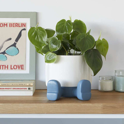 8c275ce382982292b85e1dd3b149d0d4