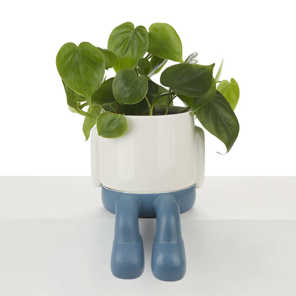 5e17b99af47888184691206836c77e30