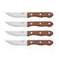 Artesà Stainless Steel Steak Knife, Set of 4