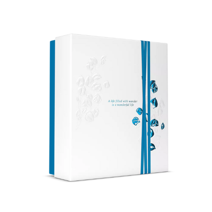 1f40d27725317582ce7c00a9deea2b24