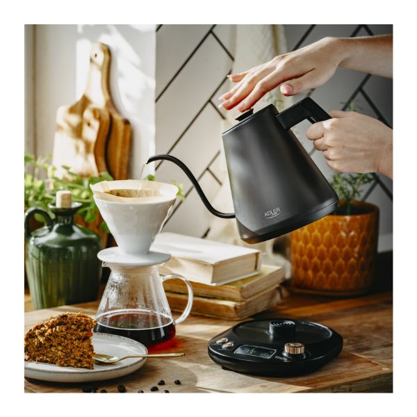 Adler Electric kettle with long spout | 1L | 1100W